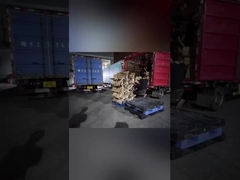 شحنات التصدير